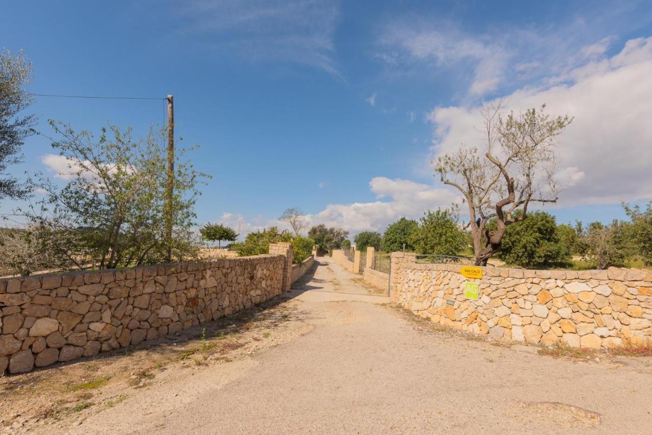 Bauernhof Agroturismo Son Calo